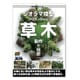 AKラーニングシリーズ ジオラマ模型 ベジテーション 草木製作の極意 日本語翻訳版 [書籍]