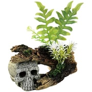 AQ-029 [aquaneru アクアリウムオーナメント 頭蓋骨と植物]