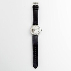 ヨドバシ.com - グランドールプラス GRP013S2 [GRANDEUR PLUS+