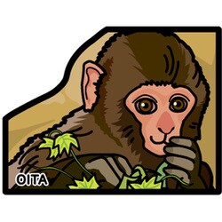 第10弾 ご当地フォルムカード 大分 サル（高崎山） 476245