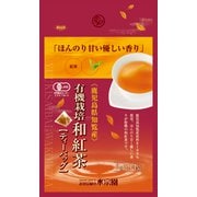 鹿児島知覧 有機栽培 和紅茶 ティーバッグ (2g×14袋) 28g