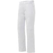 INSULATED PANTS DWWUGD96D 14 スーパーホワイト L-Rサイズ [スキーウェア パンツ ユニセックス]