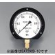 G 3/8"/ 75/100mm/0-2.5MPa つば付圧力計 EA729CD-25