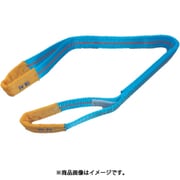 4E35X1 [TESAC ブルースリング（JIS4等級・両端アイ形）荷重1.6t全長1.0m]
