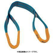 4E50X5 [TESAC ブルースリング（JIS4等級・両端アイ形）荷重2.0t 全長5.0m]