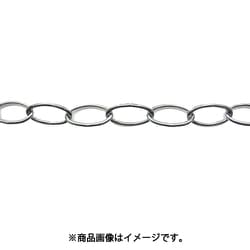 ニッサチェイン クロームランプチェン 30m IL120-CR