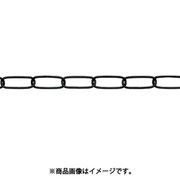 ニッサチェイン ファインカラーチェン 30m 黒 IL30E-BK