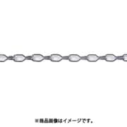 IR113-CR [ニッサチェイン クロームライトチェン 30m]