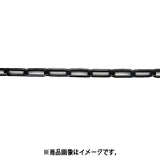 ニッサチェイン ファインカラーチェン 30m 黒 IW30E-BK