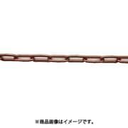 ニッサチェイン ファインカラーチェン 30m 茶 IW30E-BR