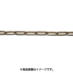 ニッサチェイン ファインカラーチェン 30m 金 IW30E-GD