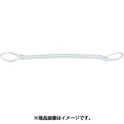 PP2E25X5.5 [TESAC 耐化学薬品用スリング（JIS2等級・両端アイ形）25mm幅×5.5m]