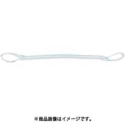 PP2E25X6 [TESAC 耐化学薬品用スリング（JIS2等級・両端アイ形）25mm幅×6m]