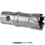 ミヤナガ デルタゴンメタルボーラー250A Φ21.5 DLMB25A215