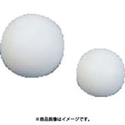 NR0309-001 [フロンケミカル フッ素樹脂（PTFE）球 鉄芯入 6.35Φ×3.17Φ]