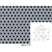 NR5016-001 [フロンケミカル フッ素樹脂（PTFE）特殊パンチングシート0.5t×1000×1000【単位はPk】]