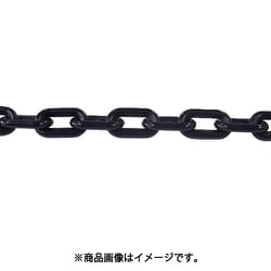 ニッサチェイン プラカラーチェン 30m 黒 PW40-BK