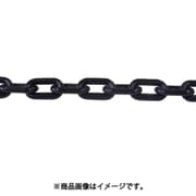 ニッサチェイン プラカラーチェン 30m 黒 PW60-BK