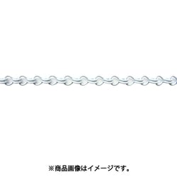 ニッサチェイン 鉄カラー二重 15m巻 白 R-IR16E-W