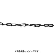 R-IV23E-BK [ニッサチェイン 鉄カラービクター 30m巻 黒]