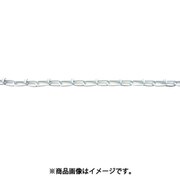 R-IV23E-W [ニッサチェイン 鉄カラービクター 30m巻 白]