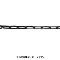 ニッサチェイン 鉄カラーヘビーリンク 16m巻 黒 R-IW48E-BK