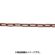 ニッサチェイン 鉄カラーヘビーリンク 17m巻 茶 R-IW48E-BR