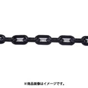 ニッサチェイン プラカラーリンク 15m巻 黒 R-PW40-BK