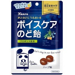 ヨドバシ.com - KANRO カンロ ボイスケアのど飴 90g 通販【全品無料配達】