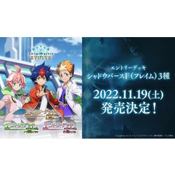 Shadowverse EVOLVE エントリーデッキ シャドウバースF 第1弾 天竜ライト [トレーディングカード]