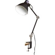 インダストリー ランプ デスク 適用畳数1～2畳 E17 LED対応 ブラック EN-007DBK