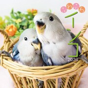 CL-387 [2023年カレンダー ふわふわインコ]