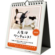 CL-388 [2023年カレンダー 人生はワンチャンス！]