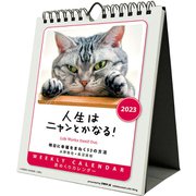 CL-389 [2023年カレンダー 人生はニャンとかなる！]