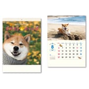 CL-392 [2023年カレンダー 柴犬まるとおさんぽ]