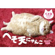 CL-395 [2023年カレンダー へそ天にゃんこ]
