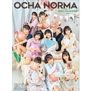 CL-808 [2023年カレンダー A2 OCHA NORMA]