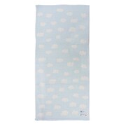 バスタオル 50×100cm エレファントインファントメレンゲガーゼ ガーゼタオル タオル ガーゼ 手ぬぐい 赤ちゃん 子供 ブルー