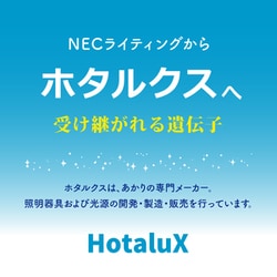 ヨドバシ.com - ホタルクス HLDC08302SG [LEDシーリングライト 8畳 調