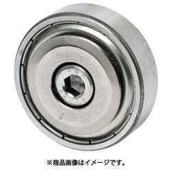 IWATA ベアリングローラー ベース用（Br付） BB6006M