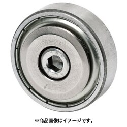 IWATA ベアリングローラー ベース用（Br付） BB6007M