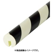 BP18-L1 [IWATA バンパープロ蓄光/エッジタイプφ40]