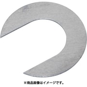 CF031050020 [IWATA シム Cタイプ FE （10枚入）]