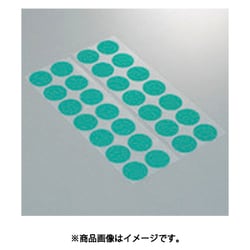 IWATA マスキングシール（丸/分割台紙付）10枚入 ERS035-P