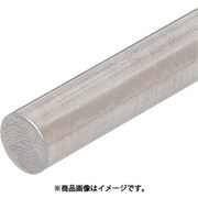 FSFMGH100-10S [IWATA 丸シャフト （中実シャフト）]