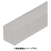 FSFMMH100-S2S [IWATA 角シャフト （中実シャフト）]