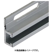 FSSARL520-05A [IWATA センサレール ツバ平行レール 長穴付タイプ]