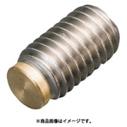IWATA 傷防止ネジ KBS4-6