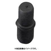 IWATA ネジ用プラグ(10個入) GTME1820-P