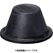 HBJE180-P [IWATA 円錐プラグJ （10個入）]